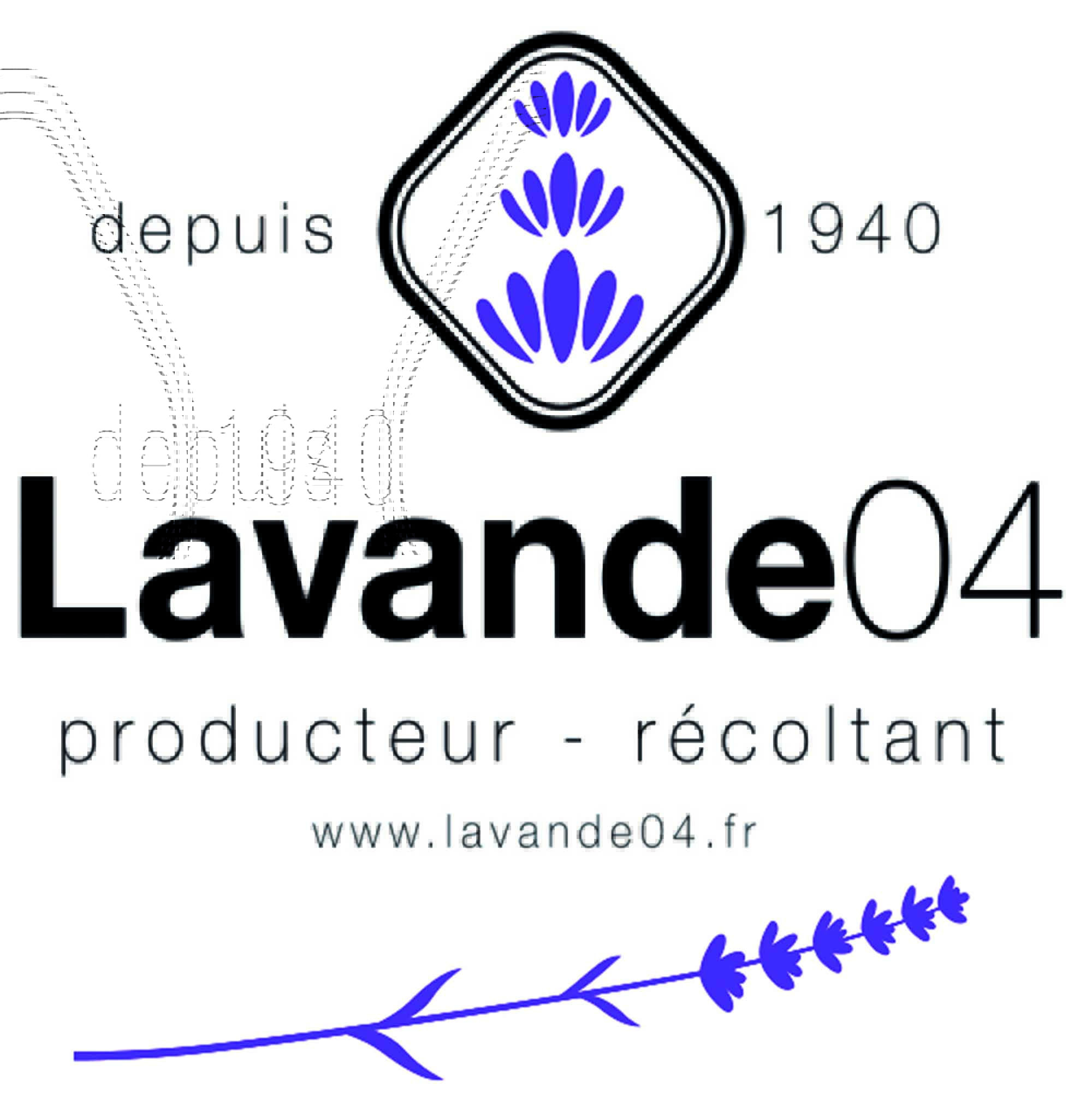lavande04